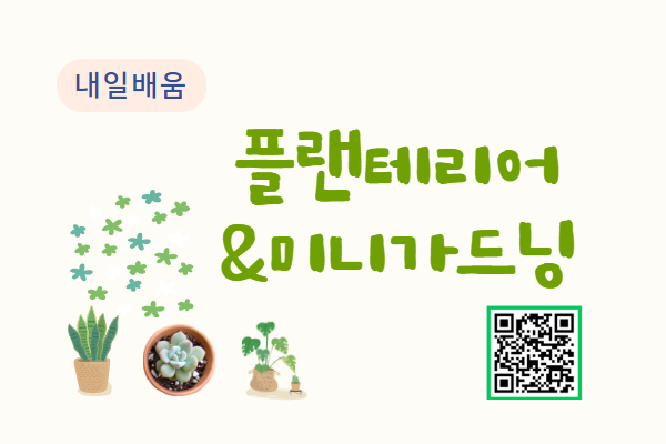 [내일배움]플랜테리어(미니 가드닝)